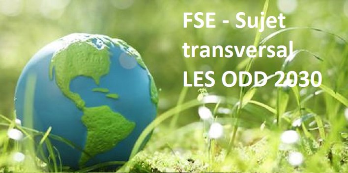 Les Objectifs de Développement Durable et leurs implications en FSE 